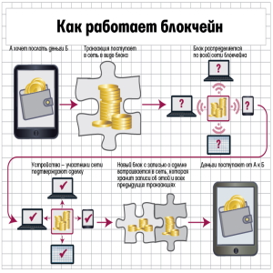 Features of the functioning of cryptocurrencies