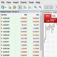 MetaTrader 4 Web Version