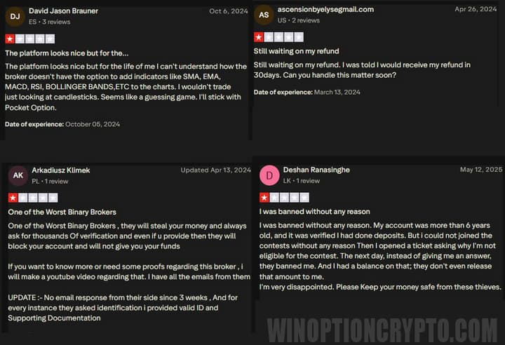 Customer Reviews