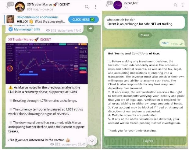 telegram bot iqcent