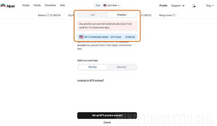 types of demo accounts at alpari