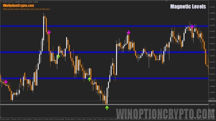 binary options indicator preview magnetic levels