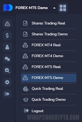 list of accounts in Forex MT5 from PocketOption