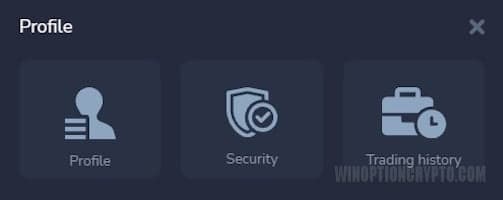 setting up a profile in Forex MT5 from PocketOption