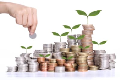 money growth