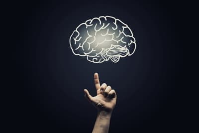 brain hand