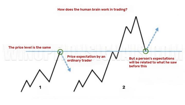 How the brain deceives us in trading