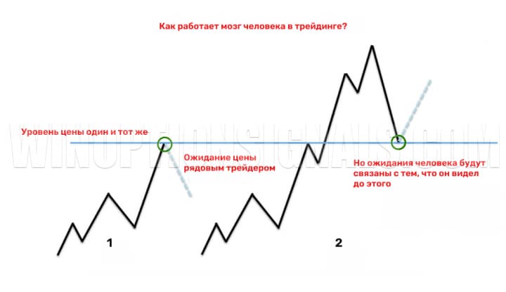 How the brain deceives us in trading