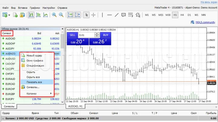 Market overview in the MT4 terminal