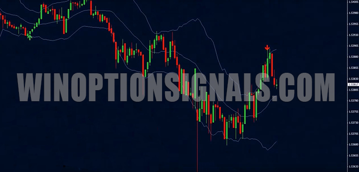 binary viper indicator photo