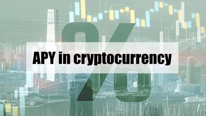 APY article preview