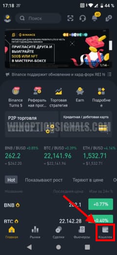 wallet in binance app