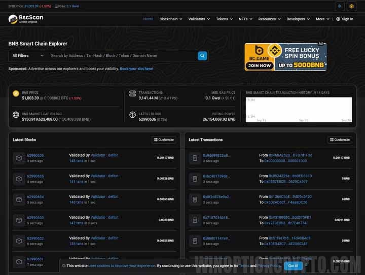 Smart contract analysis and verification via Etherscan and BscScan