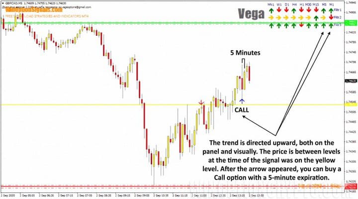 Buying a Call option using the Vega indicator