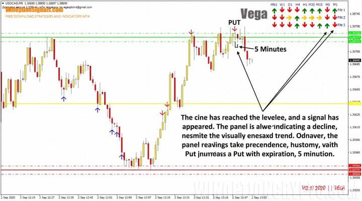 Buying a Put option using the Vega indicator