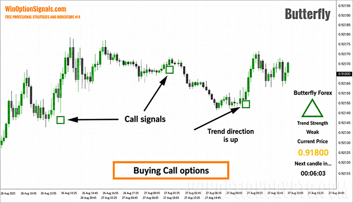 Buying Call Options Using the Butterfly Strategy