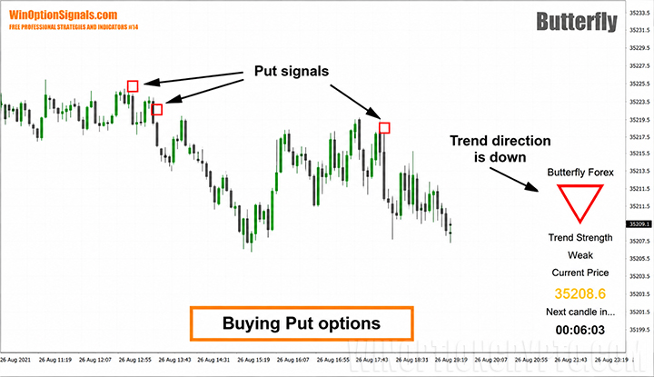 Buying Put options using the Butterfly strategy