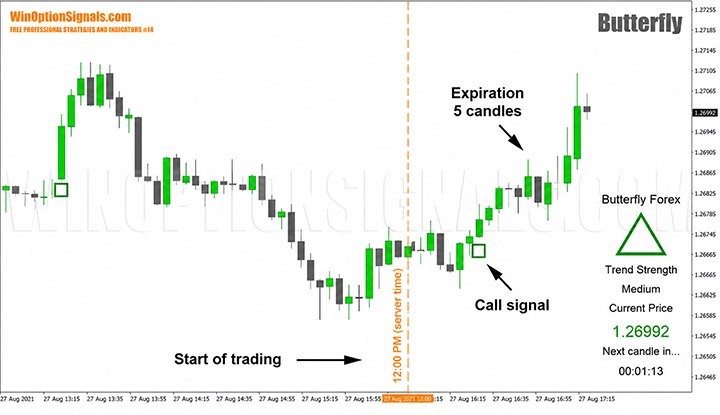 Trades according to the rules of the strategy for binary options Butterfly