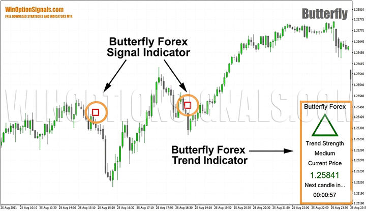 strategy indicators for binary options Butterfly