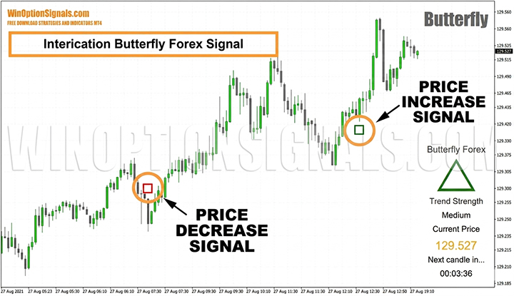 Butterfly Forex Signal Indicator