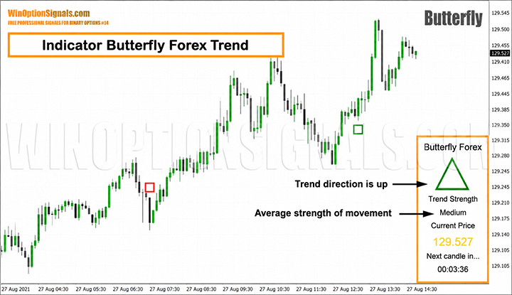 Butterfly Forex Trend Indicator