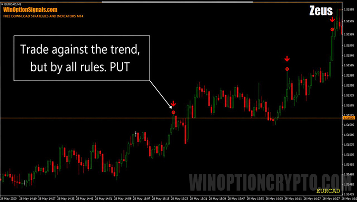 Put option according to the Zeus strategy